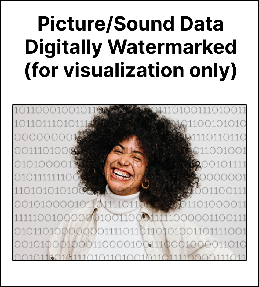 Picture/Sound Data Digitally Watermarked (for visualization only)