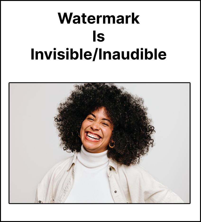 Watermark Is Invisible/Inaudible